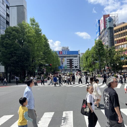 ばしっく